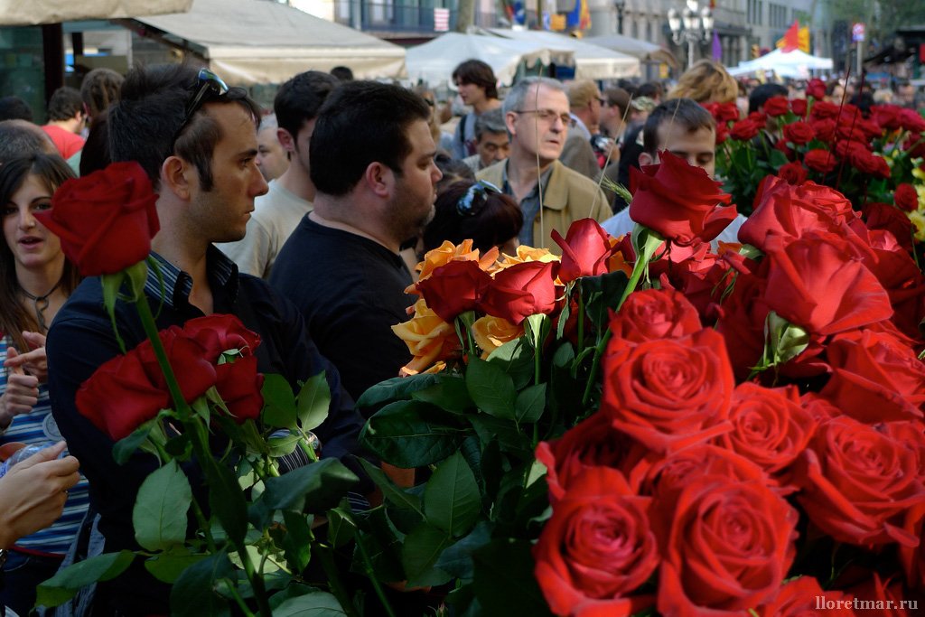 1334611277_sant-jordi-3.jpg 1334611277_sant-jordi-3.jpg