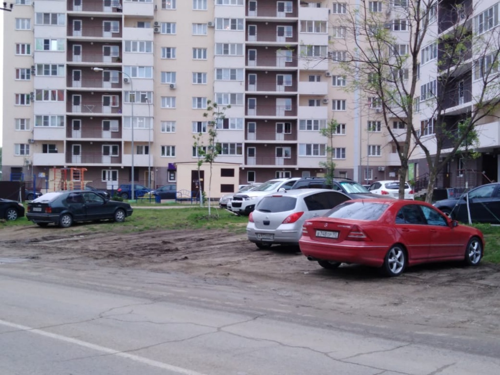 трот1.jpg